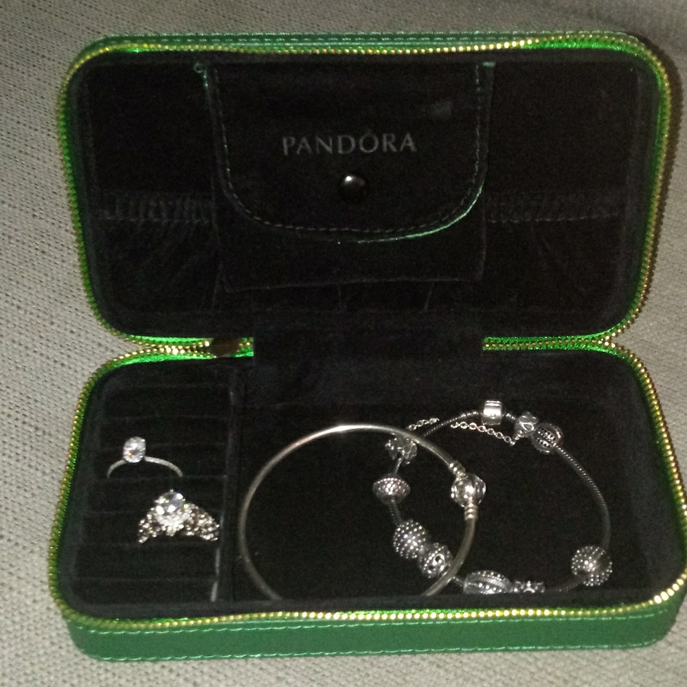 Pandora traveling case